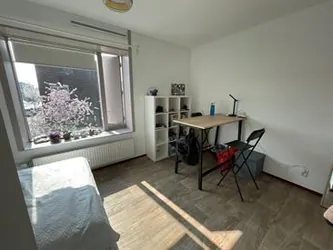 Foto van de Kamer gelegen aan de Troelstralaan in Utrecht