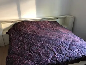 Foto van de Kamer gelegen aan de Traaij in Driebergen-Rijsenburg