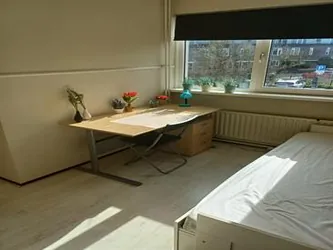 Foto van de Kamer gelegen aan de Judith Leijsterstraat in Lisse