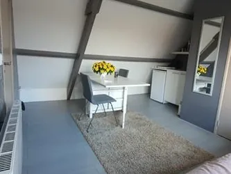 Foto van de Kamer gelegen aan de Prins Hendriklaan in Hoofddorp