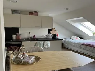 Foto van de Studio gelegen aan de Glorieuxlaan in Eindhoven