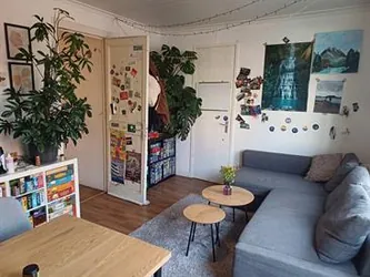 Foto van de Kamer gelegen aan de Riouwstraat in Groningen