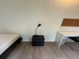 Foto van de Kamer gelegen aan de Gestelsestraat in Eindhoven