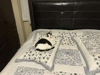 Foto van de Kamer gelegen aan de Van Oldenbarneveldtstraat in Amsterdam