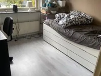 Foto van de Kamer gelegen aan de Ringlaan in Wijchen