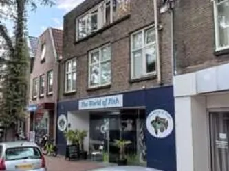 Foto van de Kamer gelegen aan de Thomas a Kempisstraat in Zwolle