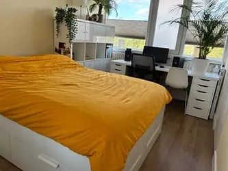 Foto van de Kamer gelegen aan de Euterpedreef in Utrecht