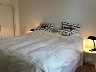 Foto van de Appartement gelegen aan de Professor Pieter Willemsstraat in Maastricht