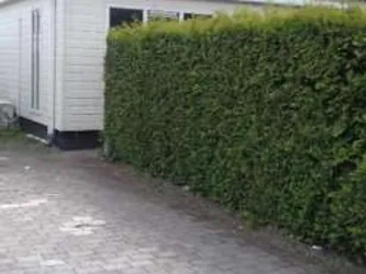 Foto van de Appartement gelegen aan de Noordhoekstraat in Schaijk