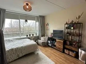 Foto van de Kamer gelegen aan de Cruquiuslaan in Leiden