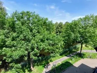 Foto van de Kamer gelegen aan de Voordek in Amsterdam