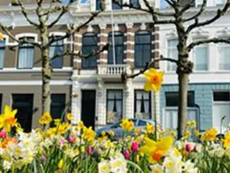 Foto van de Kamer gelegen aan de Mauritsstraat in Breda