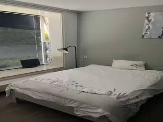 Foto van de Kamer gelegen aan de Damhertlaan in Driebergen-Rijsenburg