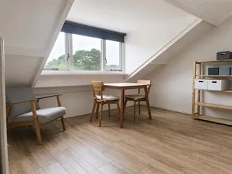 Foto van de Studio gelegen aan de Marie Koenenlaan in Tilburg