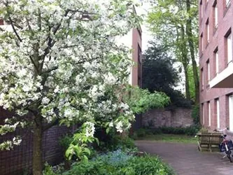 Foto van de Kamer gelegen aan de Hof van St.-Jan in Utrecht
