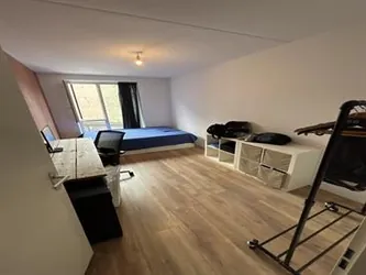 Foto van de Kamer gelegen aan de Artemisstraat in Leiden