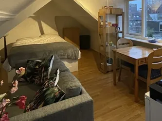 Foto van de Kamer gelegen aan de Puntenburgerlaan in Amersfoort