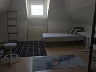 Foto van de Kamer gelegen aan de Pieter de Raadtstraat in Rotterdam