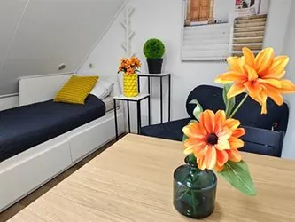 Foto van de Kamer gelegen aan de Ringbaan-Oost in Tilburg