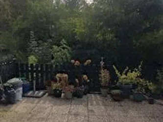 Foto van de Appartement gelegen aan de Veerstraat in Wageningen