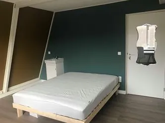 Foto van de Kamer gelegen aan de Van den Berghlaan in Hoofddorp