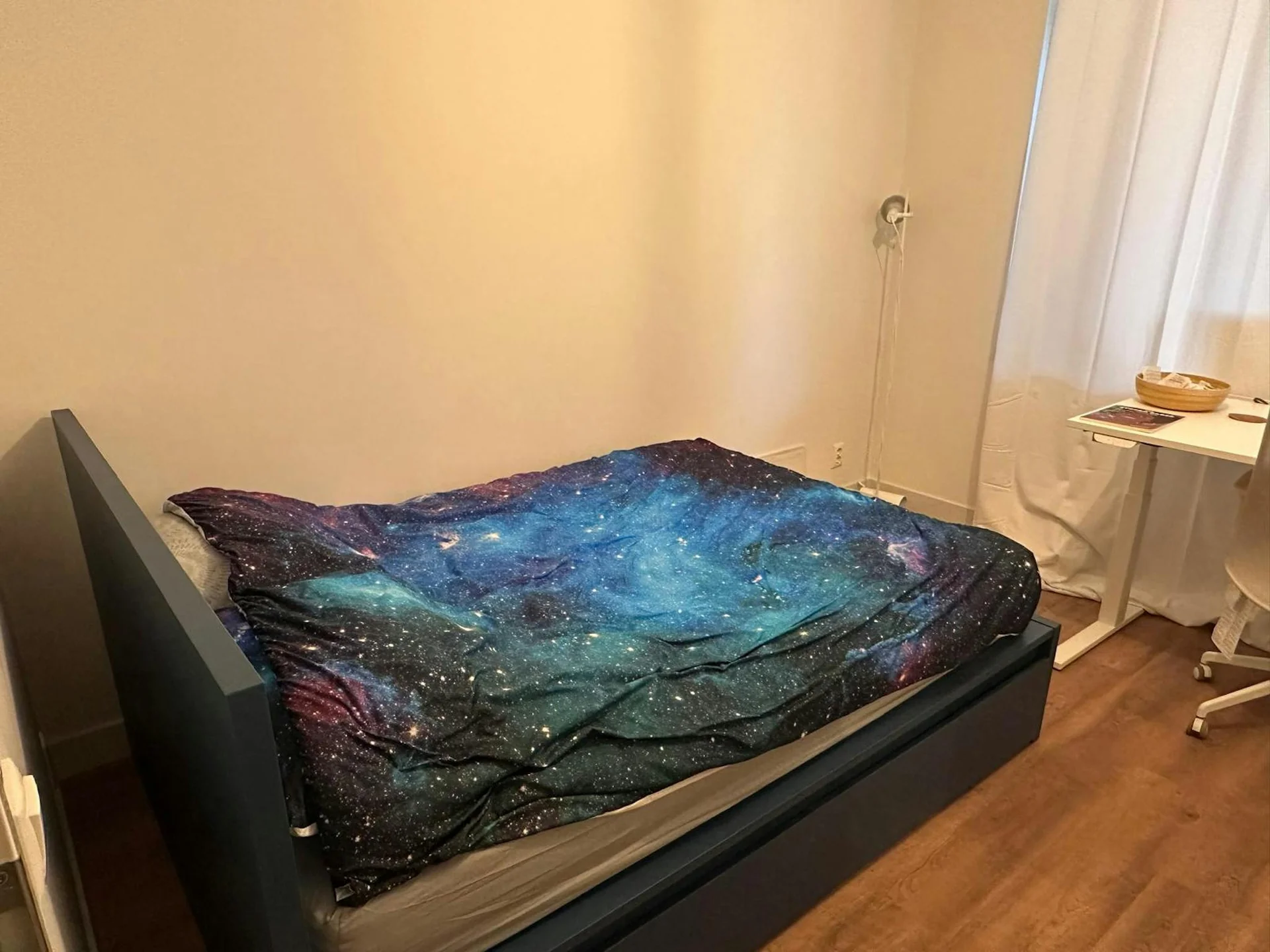 Foto van de Kamer gelegen aan de Elzenhagensingel in Amsterdam