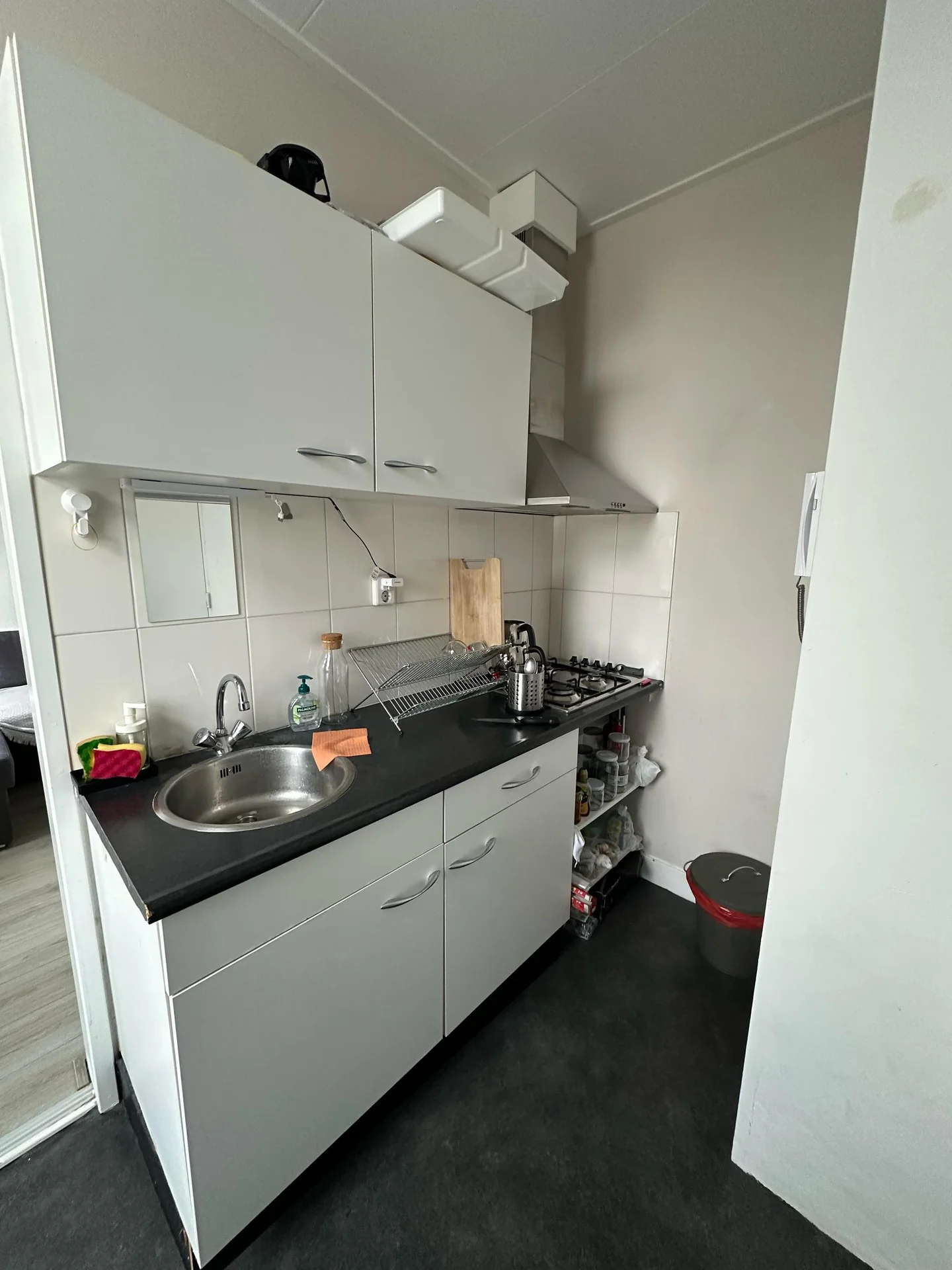 Foto van de Studio gelegen aan de Dommer van Poldersveldtweg in Nijmegen