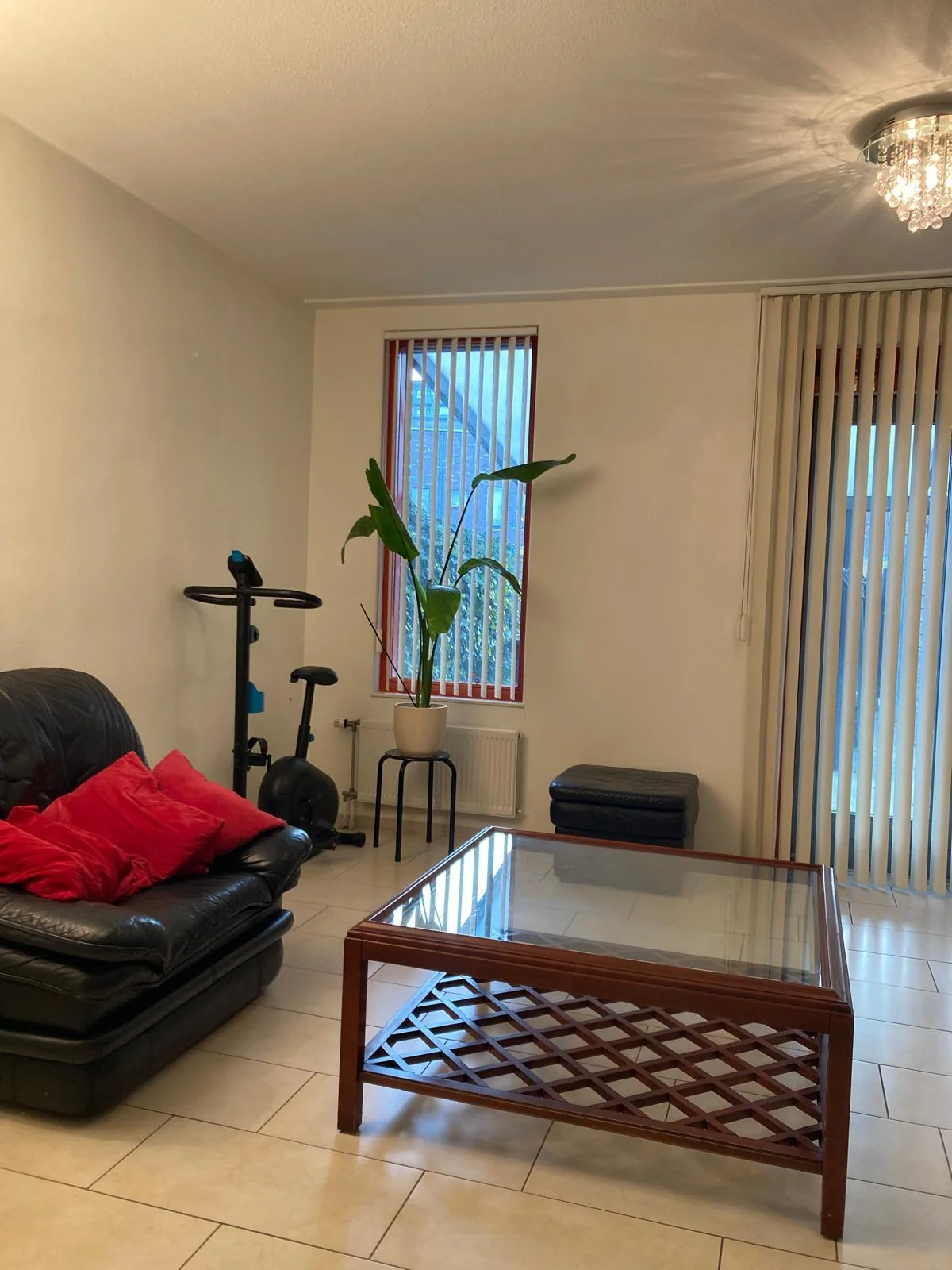 Foto van de Kamer gelegen aan de Lontarpalmstraat in Amsterdam