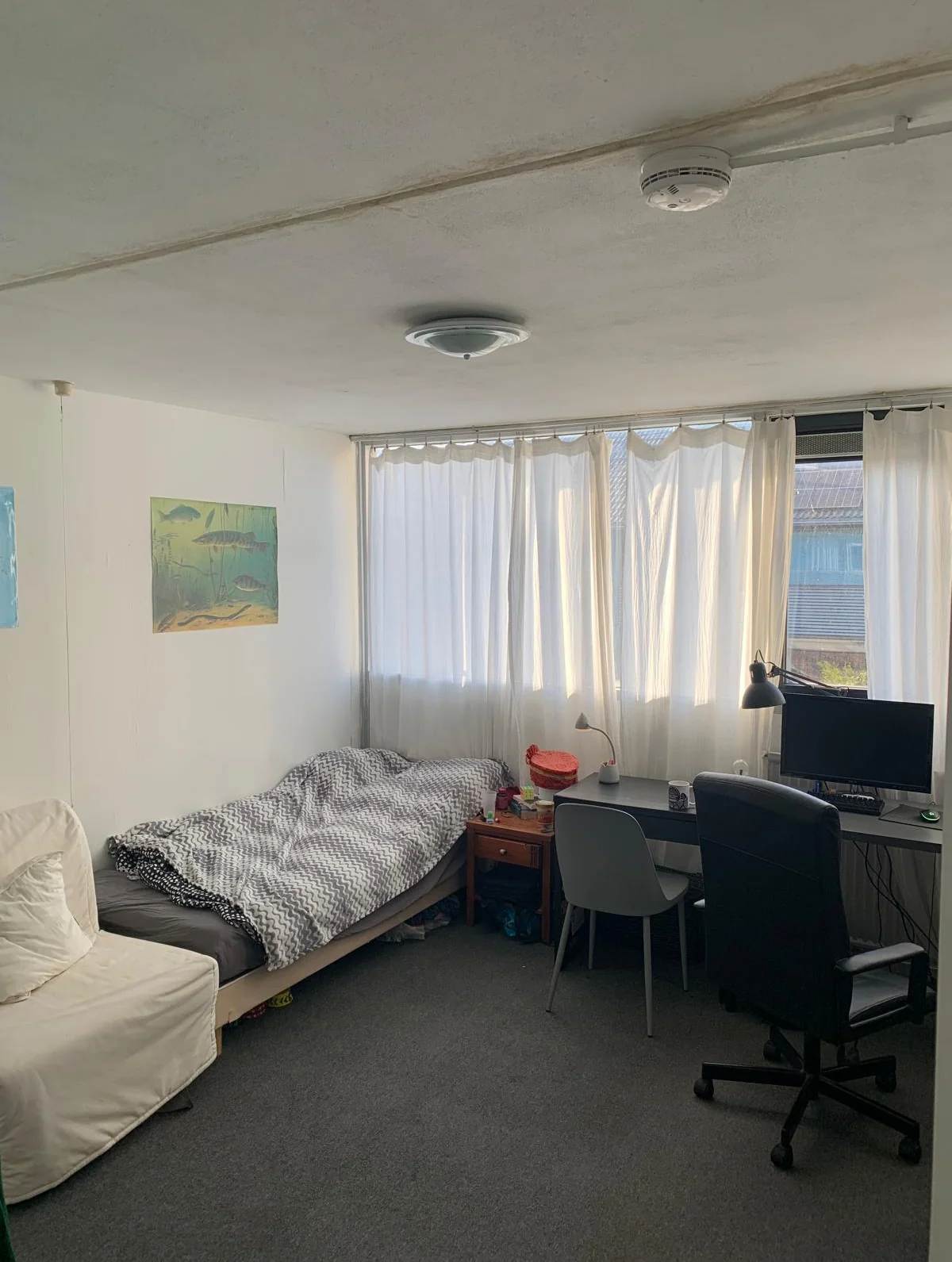 Foto van de Kamer gelegen aan de Edelsteenlaan in Groningen