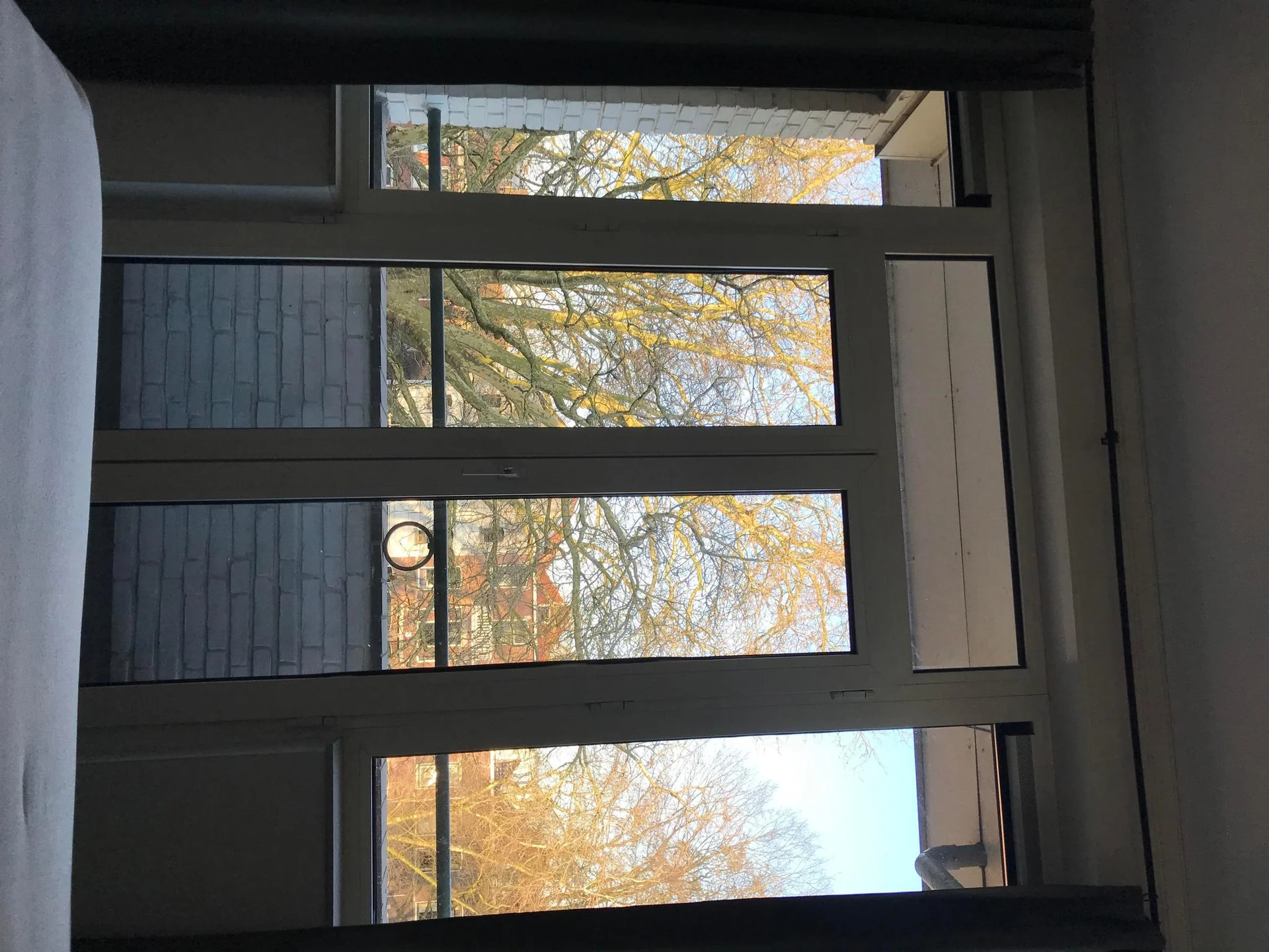 Foto van de Kamer gelegen aan de Lange Nieuwstraat in Schiedam