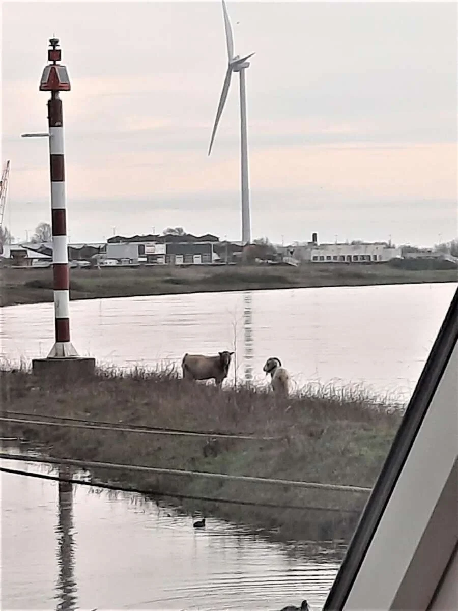 Foto van de Appartement gelegen aan de Westervoortsedijk in Arnhem