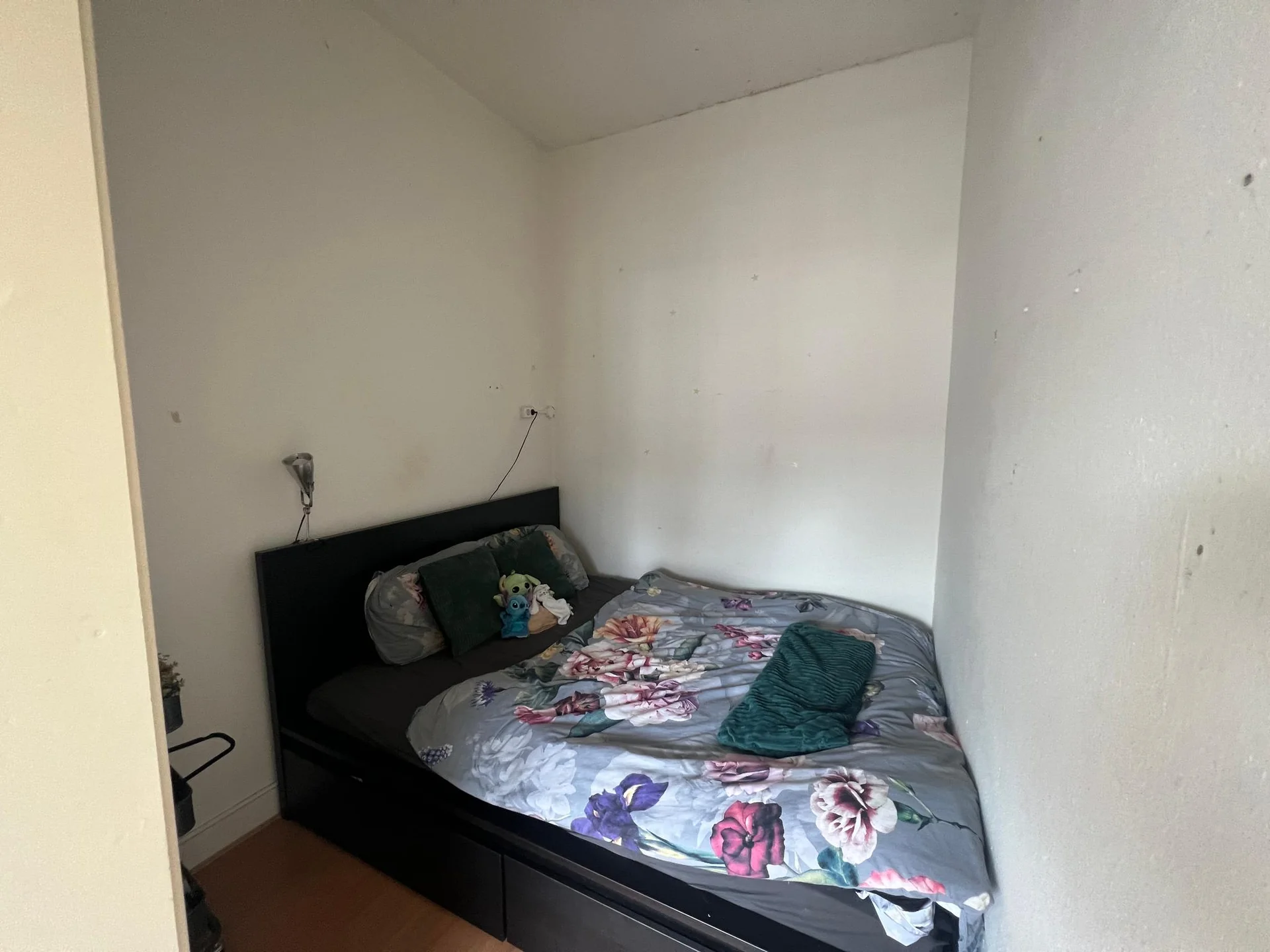 Foto van de Kamer gelegen aan de Tuinbouwstraat in Groningen