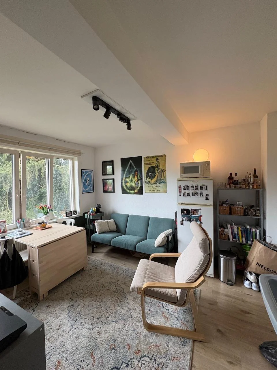Foto van de Kamer gelegen aan de Parkweg in Groningen