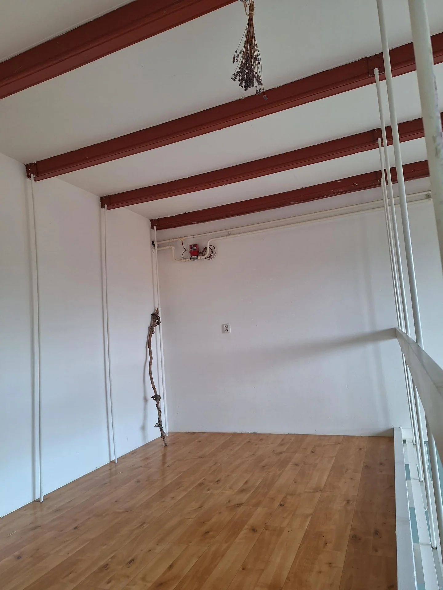 Foto van de Kamer gelegen aan de Cortinghlaan in Groningen