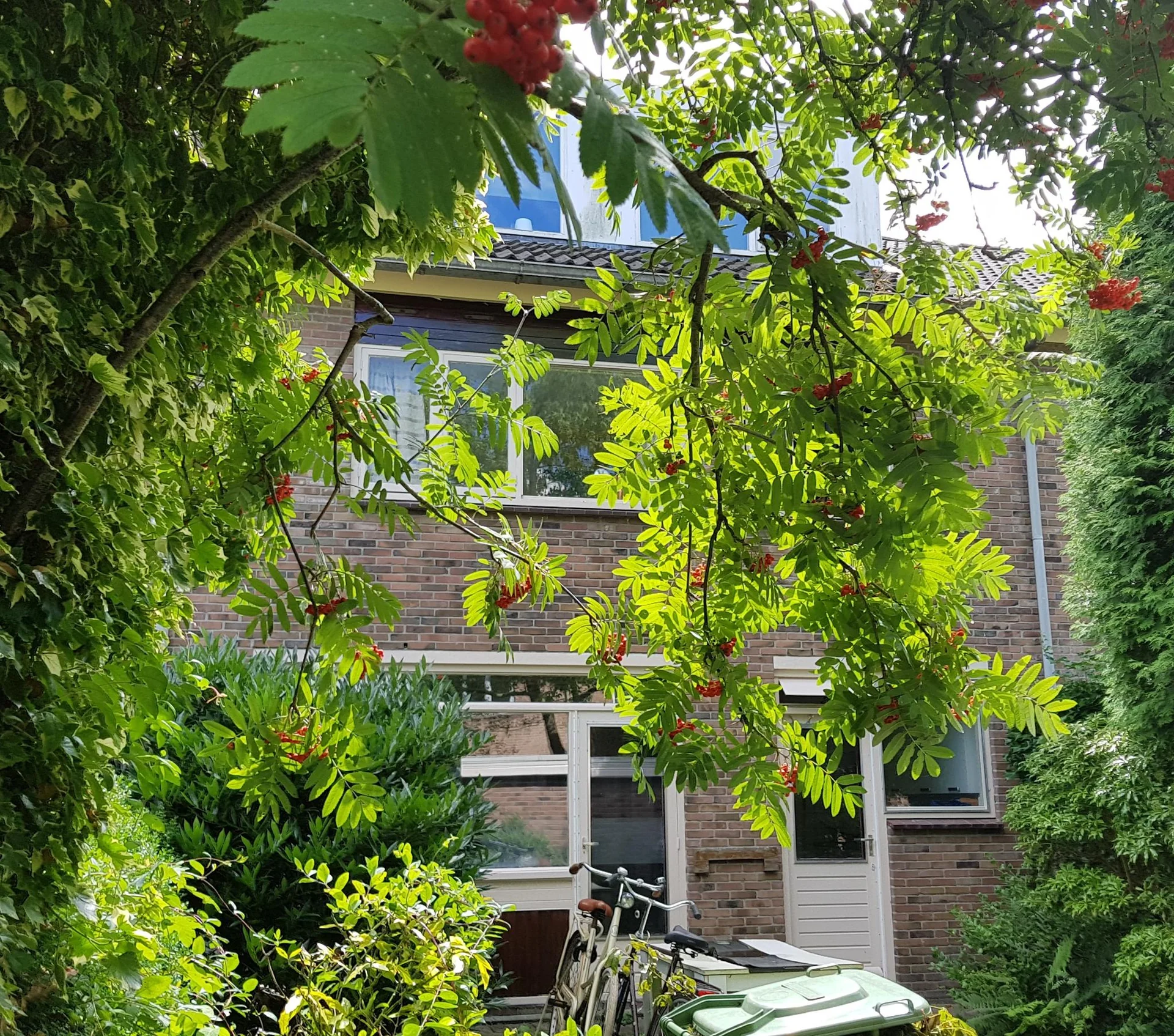 Foto van de Kamer gelegen aan de Jupiterstraat in Groningen