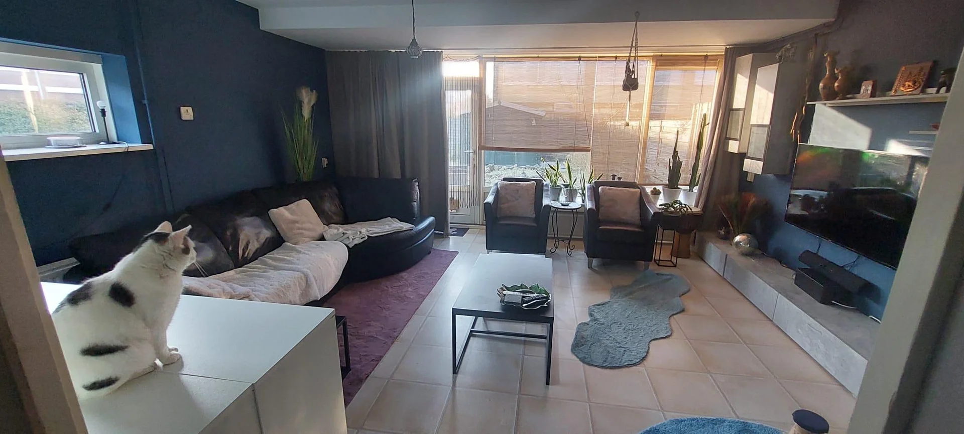 Foto van de Kamer gelegen aan de Den Tollstraat in Koudekerk aan den Rijn