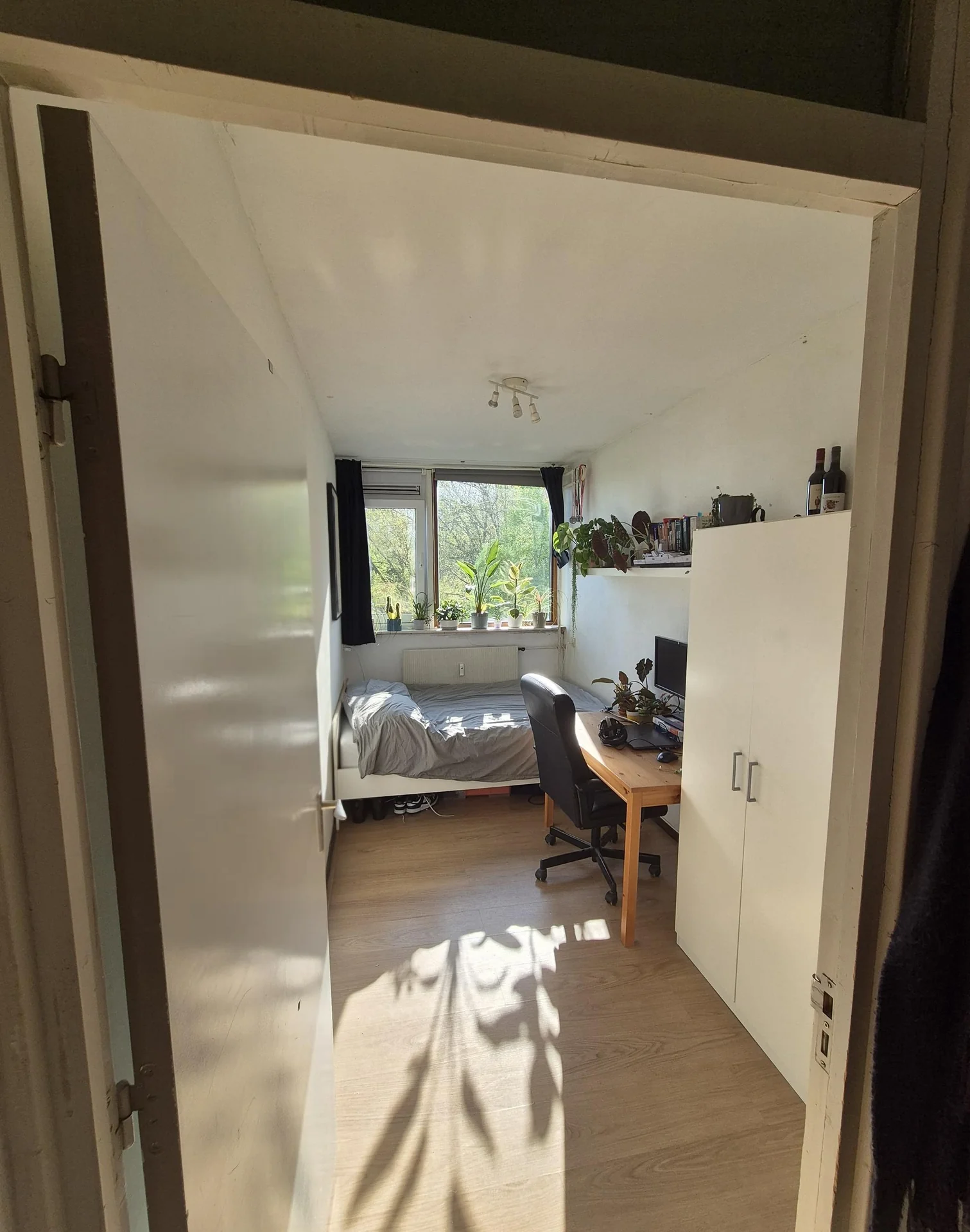 Foto van de Kamer gelegen aan de Roland Holstlaan in Delft