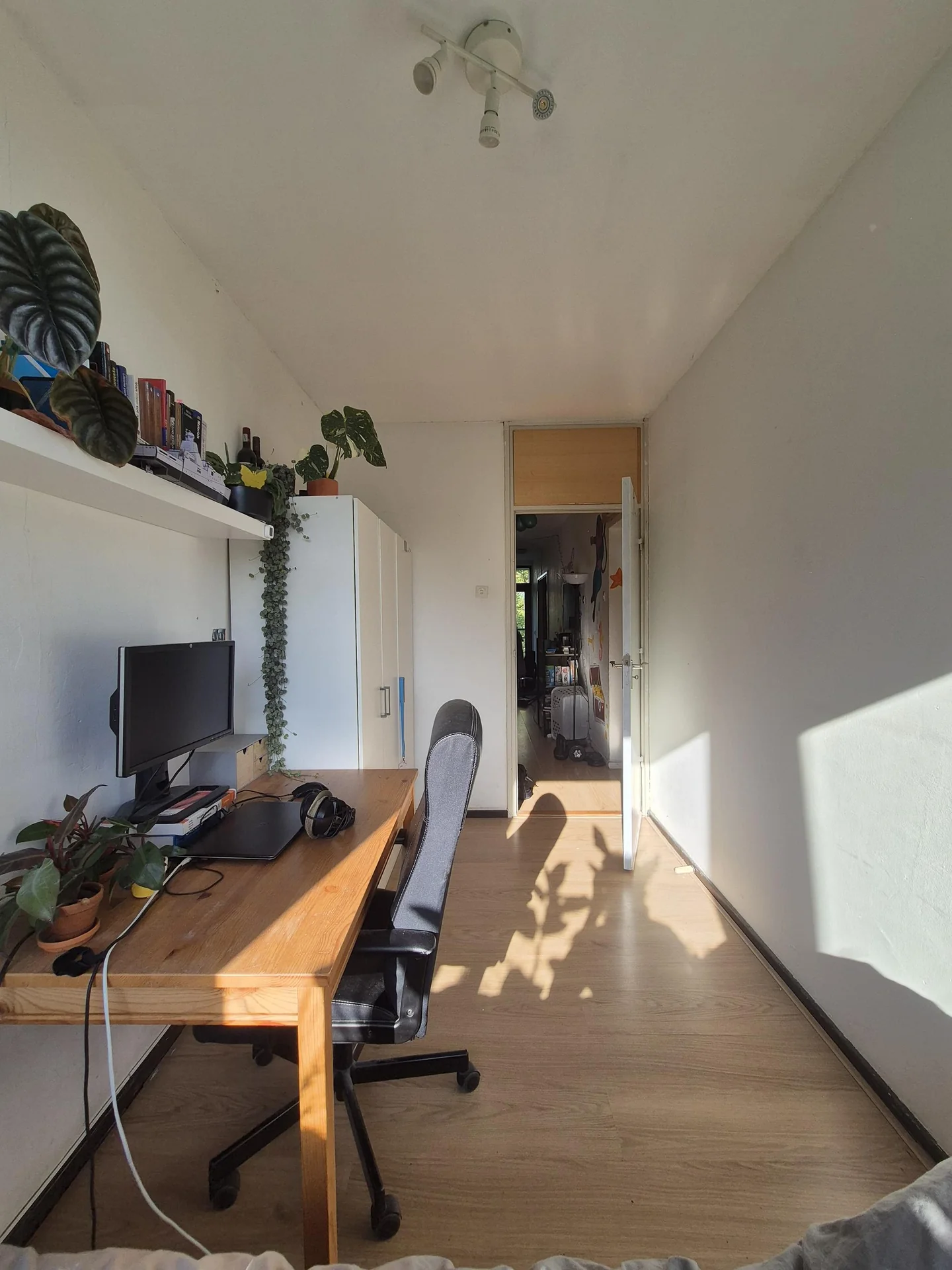 Foto van de Kamer gelegen aan de Roland Holstlaan in Delft