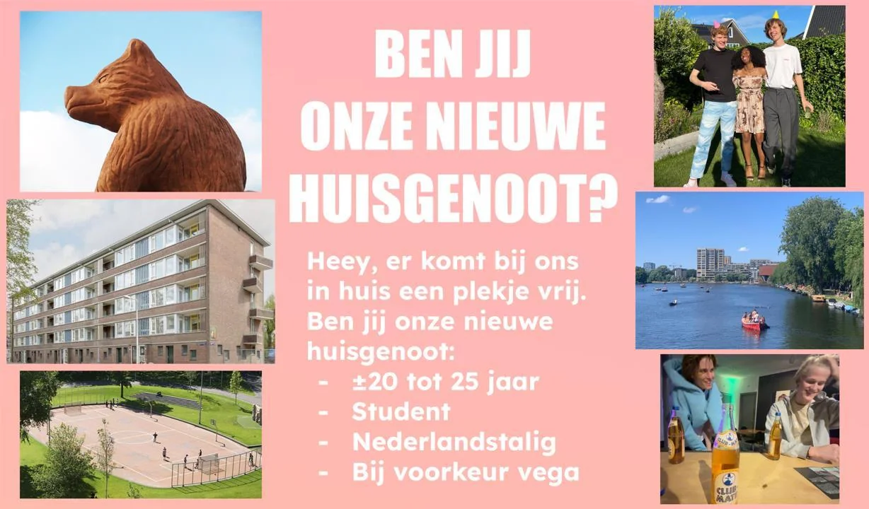 Foto van de Kamer gelegen aan de Wilhelmina Druckerstraat in Amsterdam