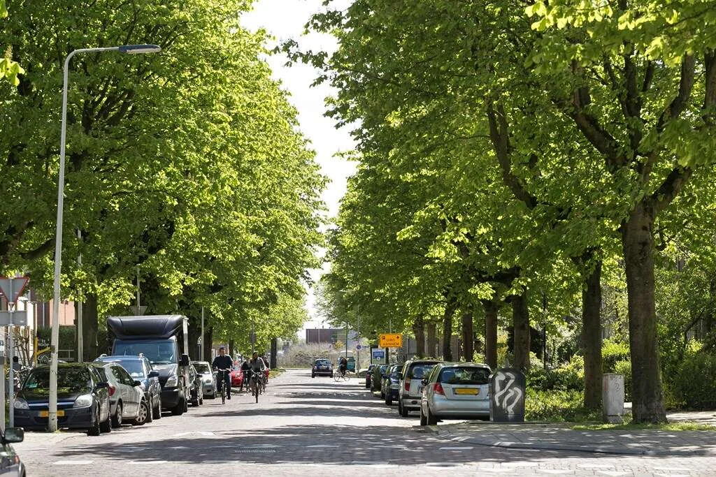 Foto van de Appartement gelegen aan de Van Oldenbarneveldtstraat in Arnhem