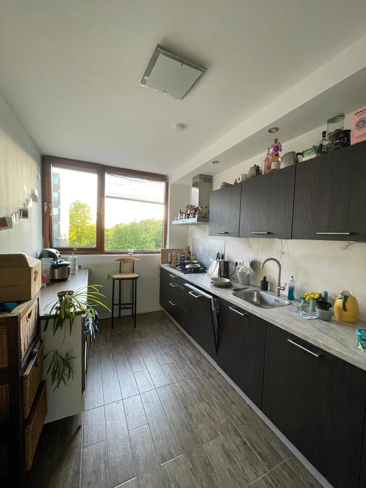 Foto van de Kamer gelegen aan de Roland Holstlaan in Delft