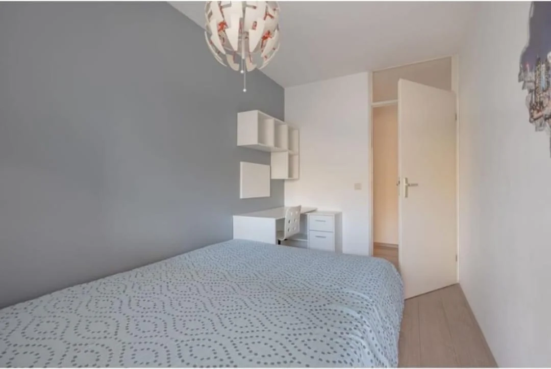 Foto van de Appartement gelegen aan de Strevelsweg in Rotterdam