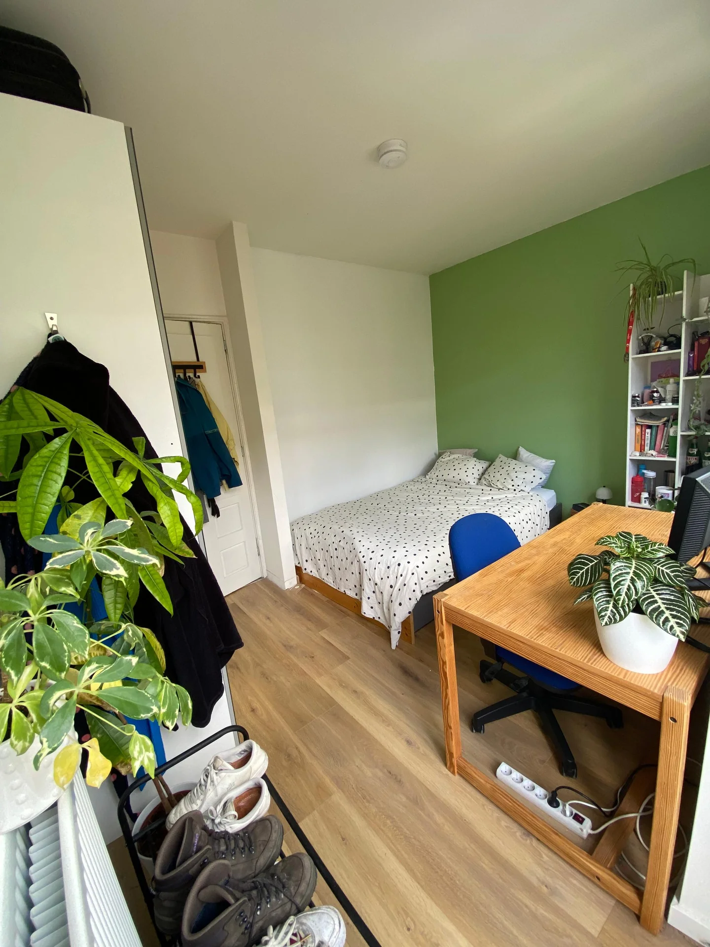 Foto van de Kamer gelegen aan de Lumeystraat in Rotterdam