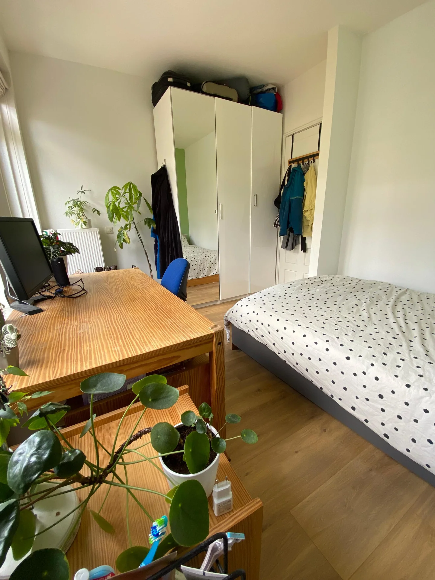 Foto van de Kamer gelegen aan de Lumeystraat in Rotterdam