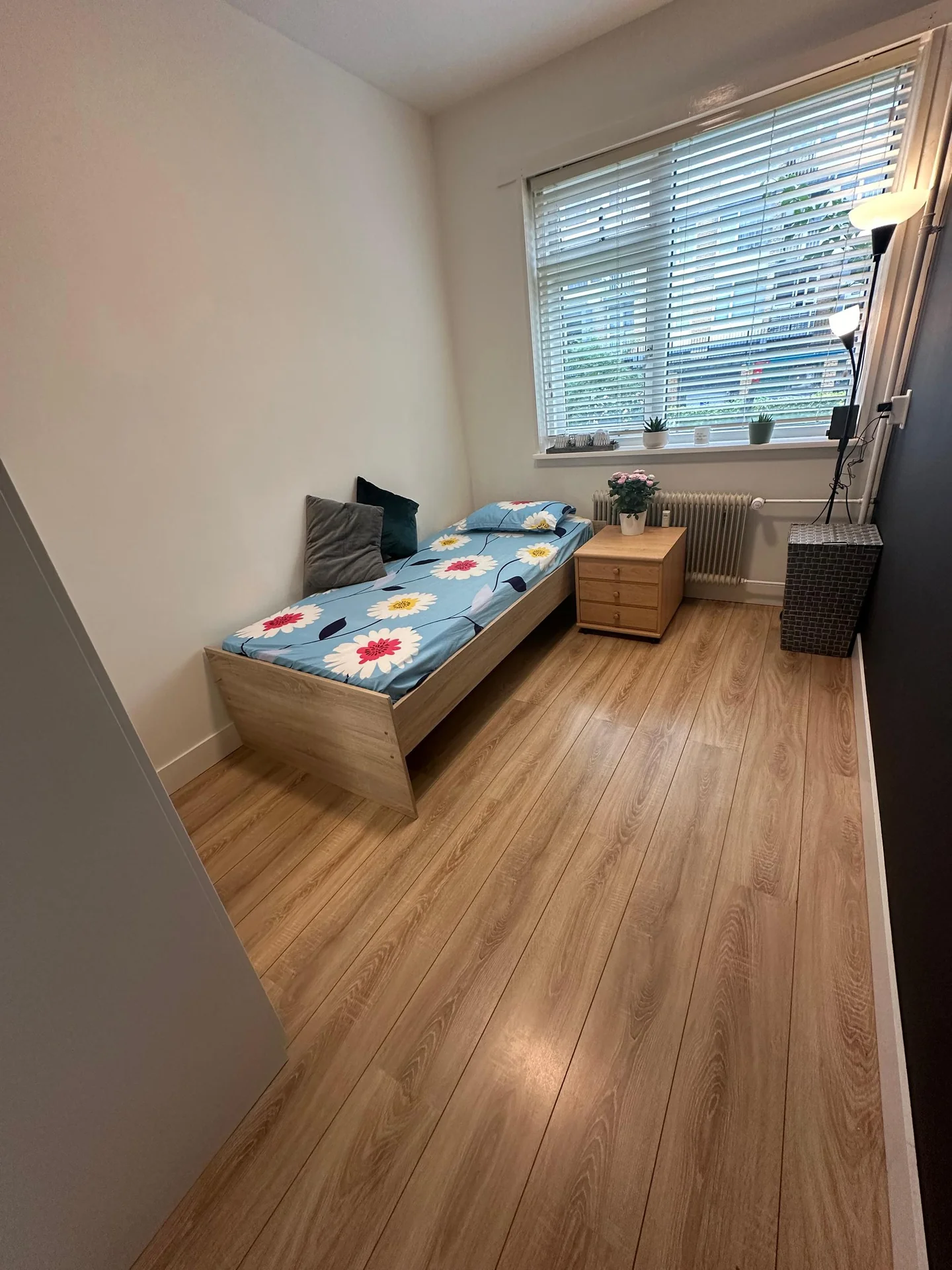 Foto van de Kamer gelegen aan de Prinses Marijkestraat in Alphen aan den Rijn