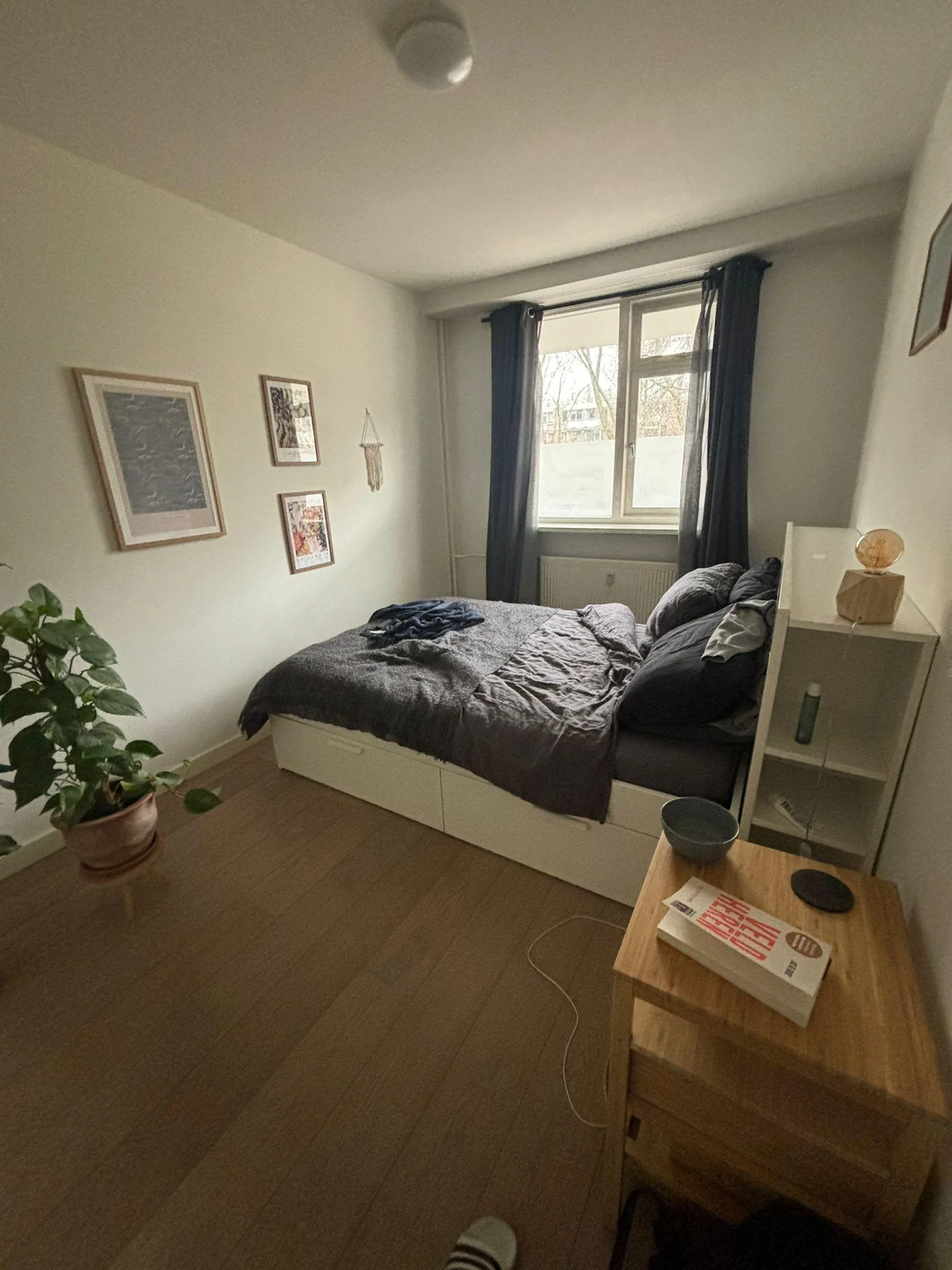 Foto van de Kamer gelegen aan de Bolestein in Amsterdam