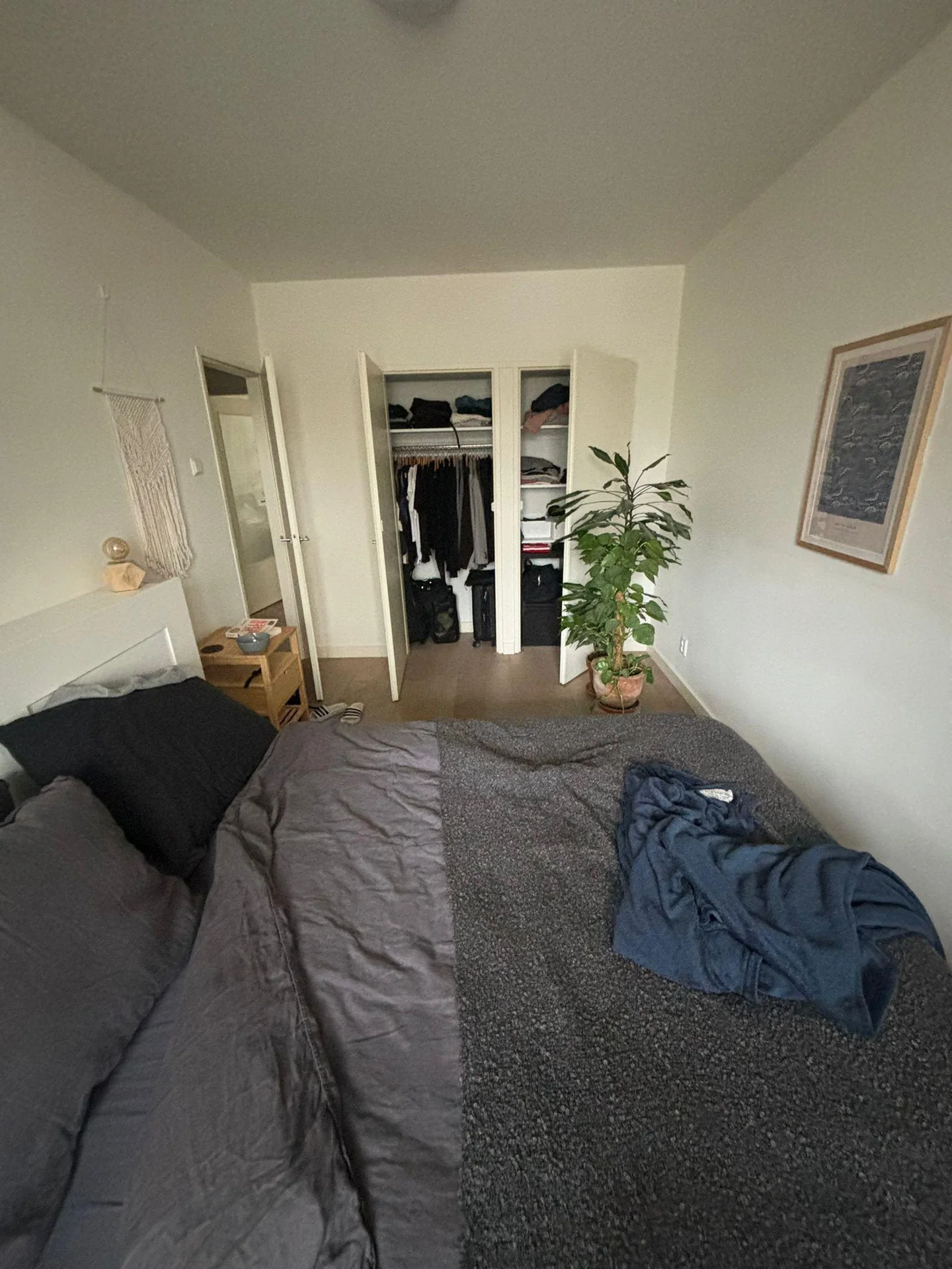 Foto van de Kamer gelegen aan de Bolestein in Amsterdam