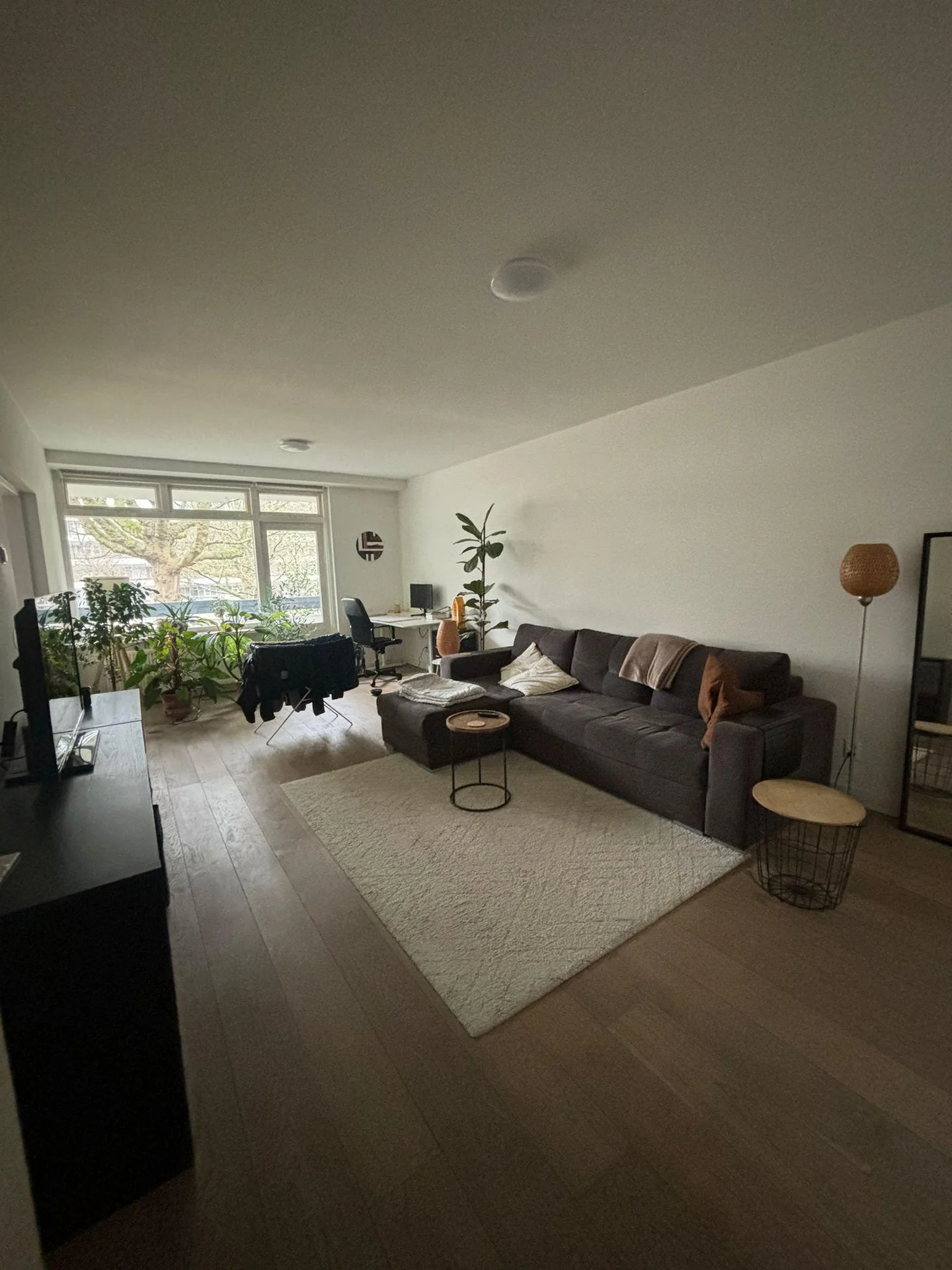 Foto van de Kamer gelegen aan de Bolestein in Amsterdam