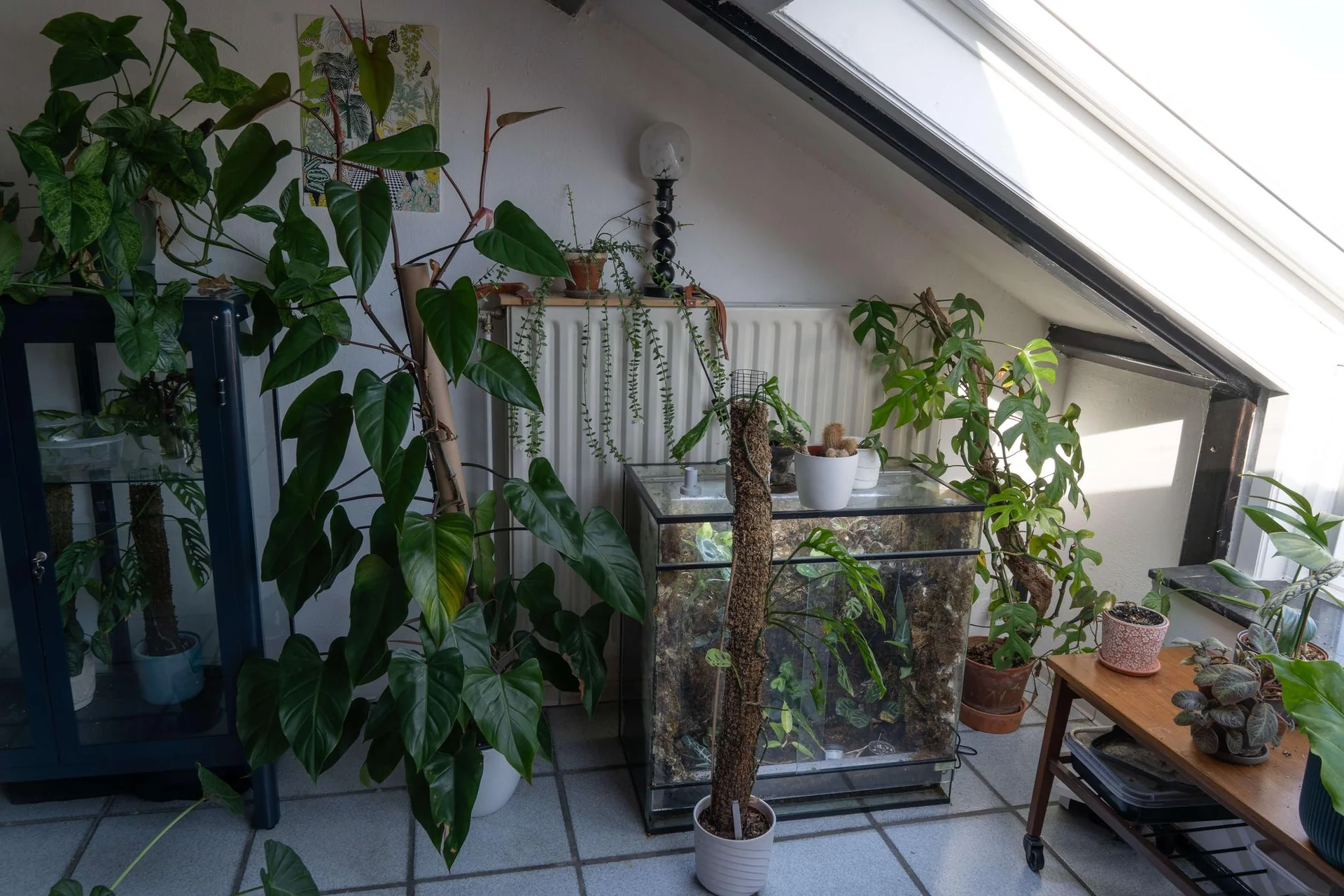 Foto van de Studio gelegen aan de Tongerseweg in Maastricht