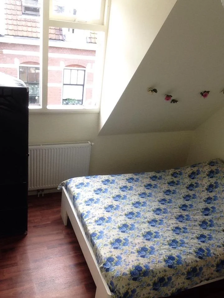 Foto van de Kamer gelegen aan de Westergracht in Haarlem